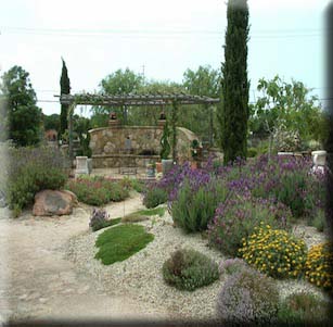 Mediterranean Gardens