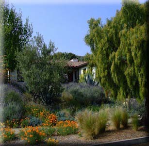 Lavender Hills Garden