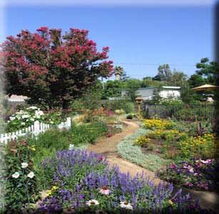 Color Showcase Garden