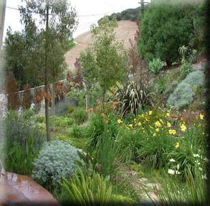 Mediterranean Hillside Garden