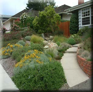 Ocean Friendly Garden