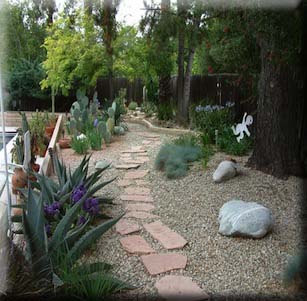 Roger's Xeriscape Garden