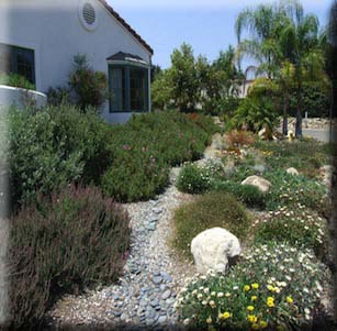 Dry Creekbed Garden