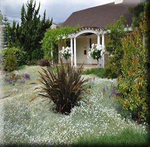 Snow in Summer Garden